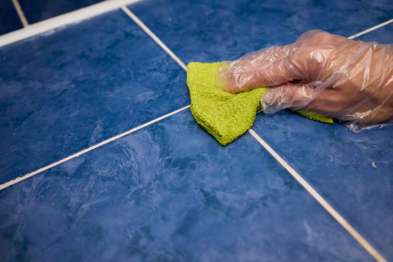 Tile Grout Cleaning detail